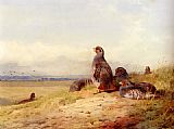 Red Partridges by Archibald Thorburn